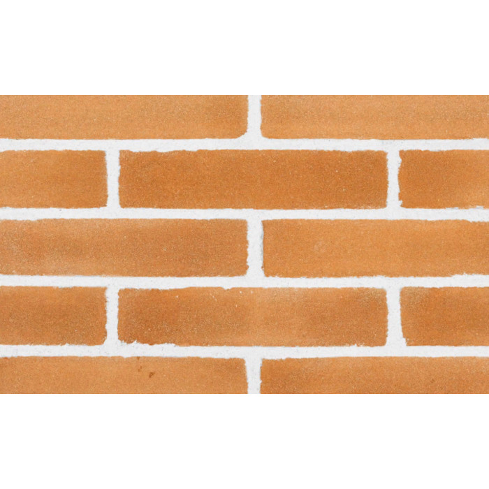 Кирпич S.Anselmo Custom blend RSW, Standart, 250х60х55 мм